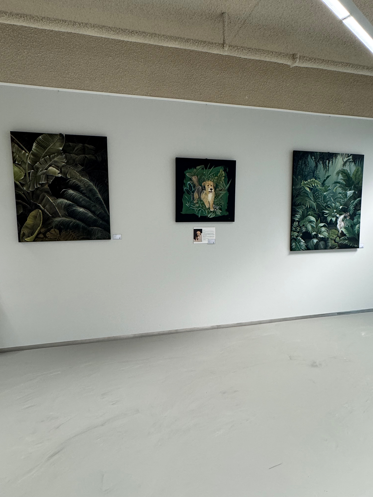 Pofu and Foliage paintings installed at EDGE Amsterdam West