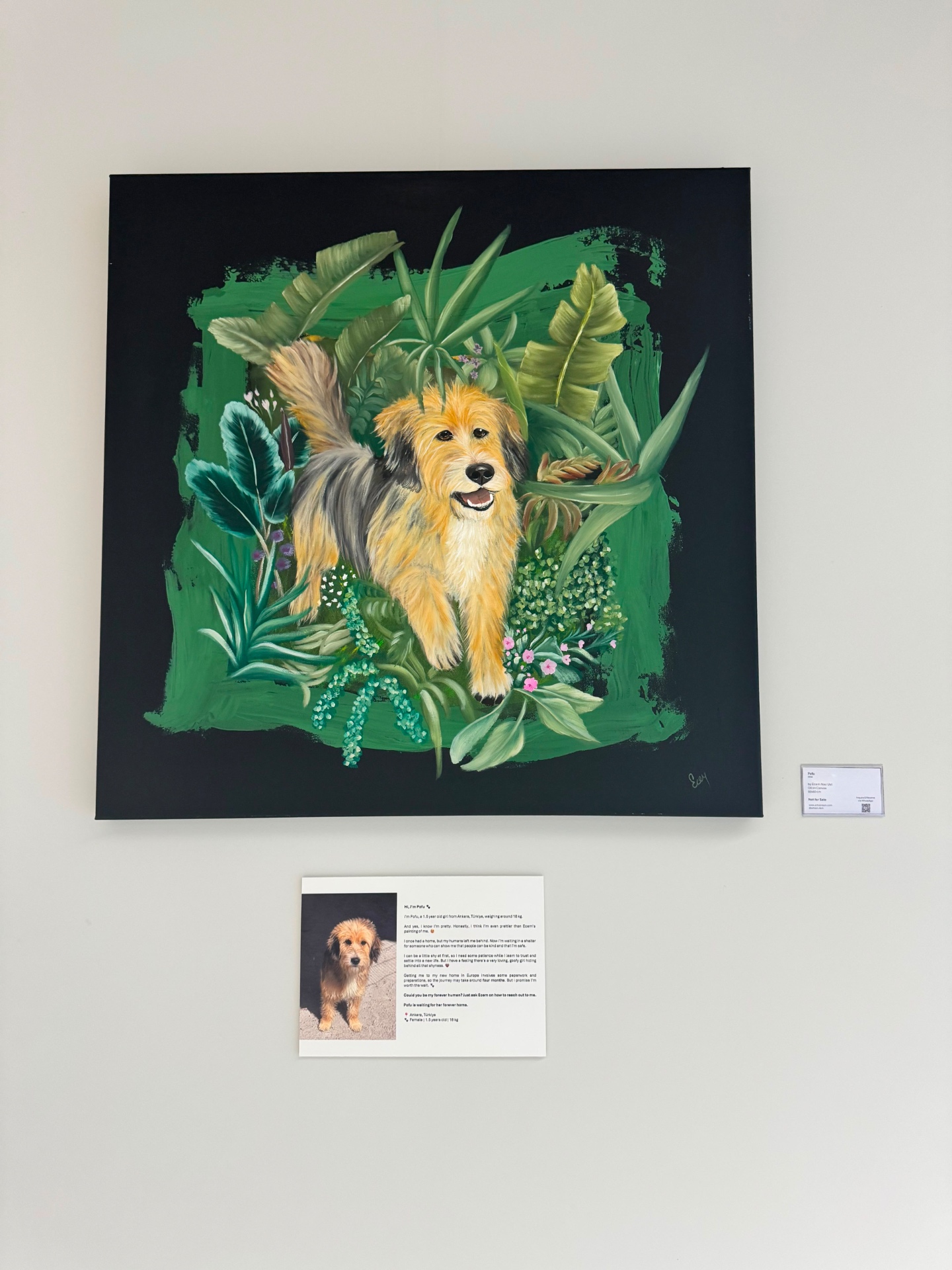 Pofu's portrait and adoption story displayed at an exhibition